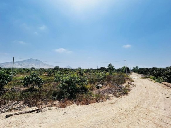 Lote venta Huaral