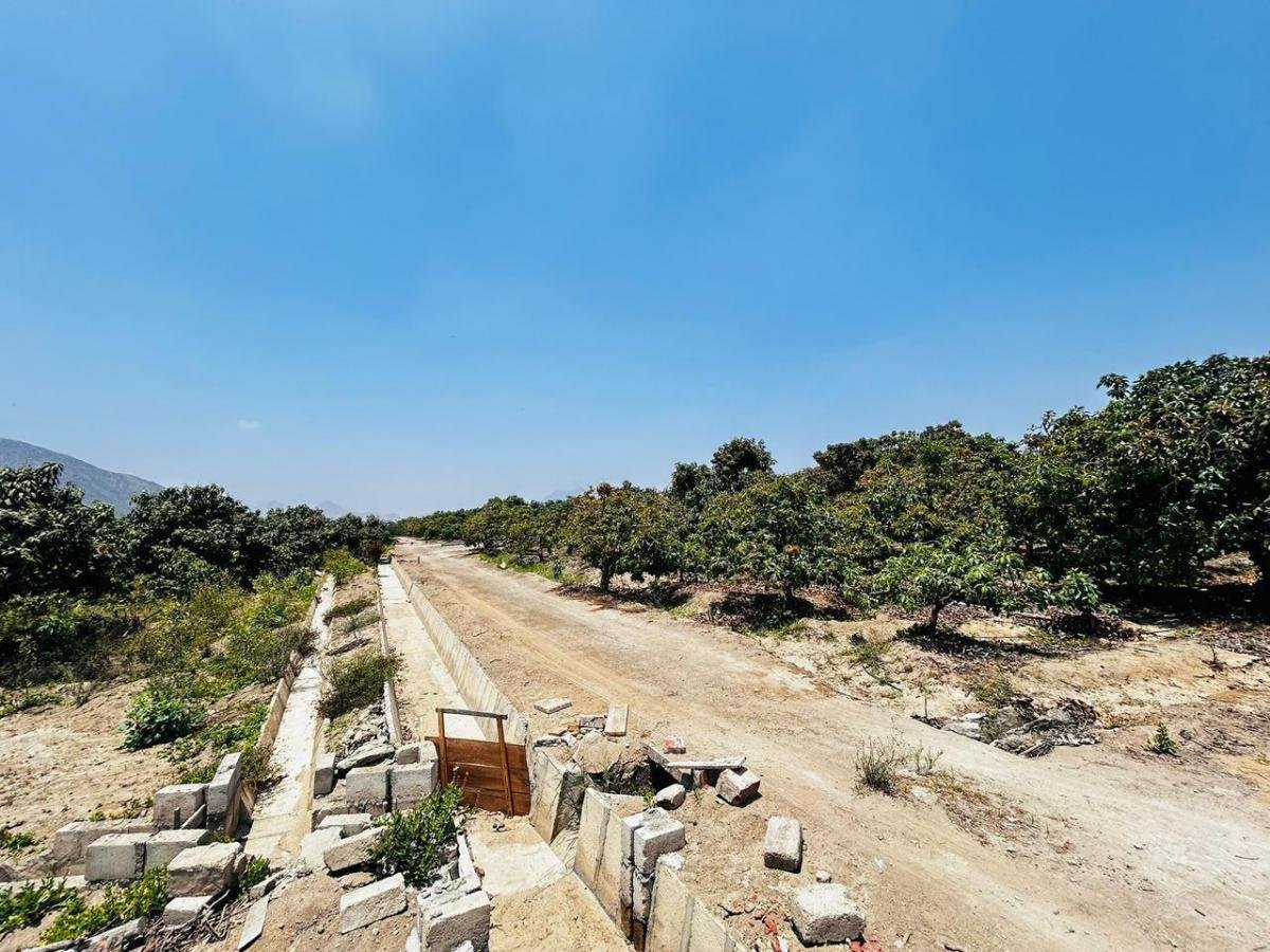 1587465738 Lote venta Huaral