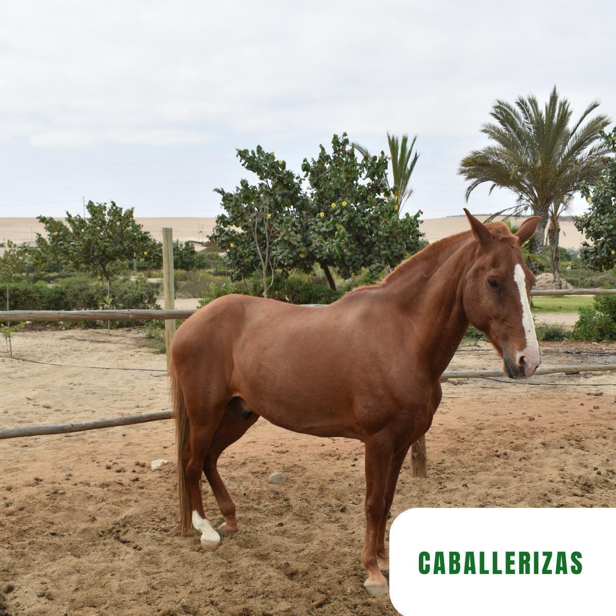 Venta Terreno en Paracas