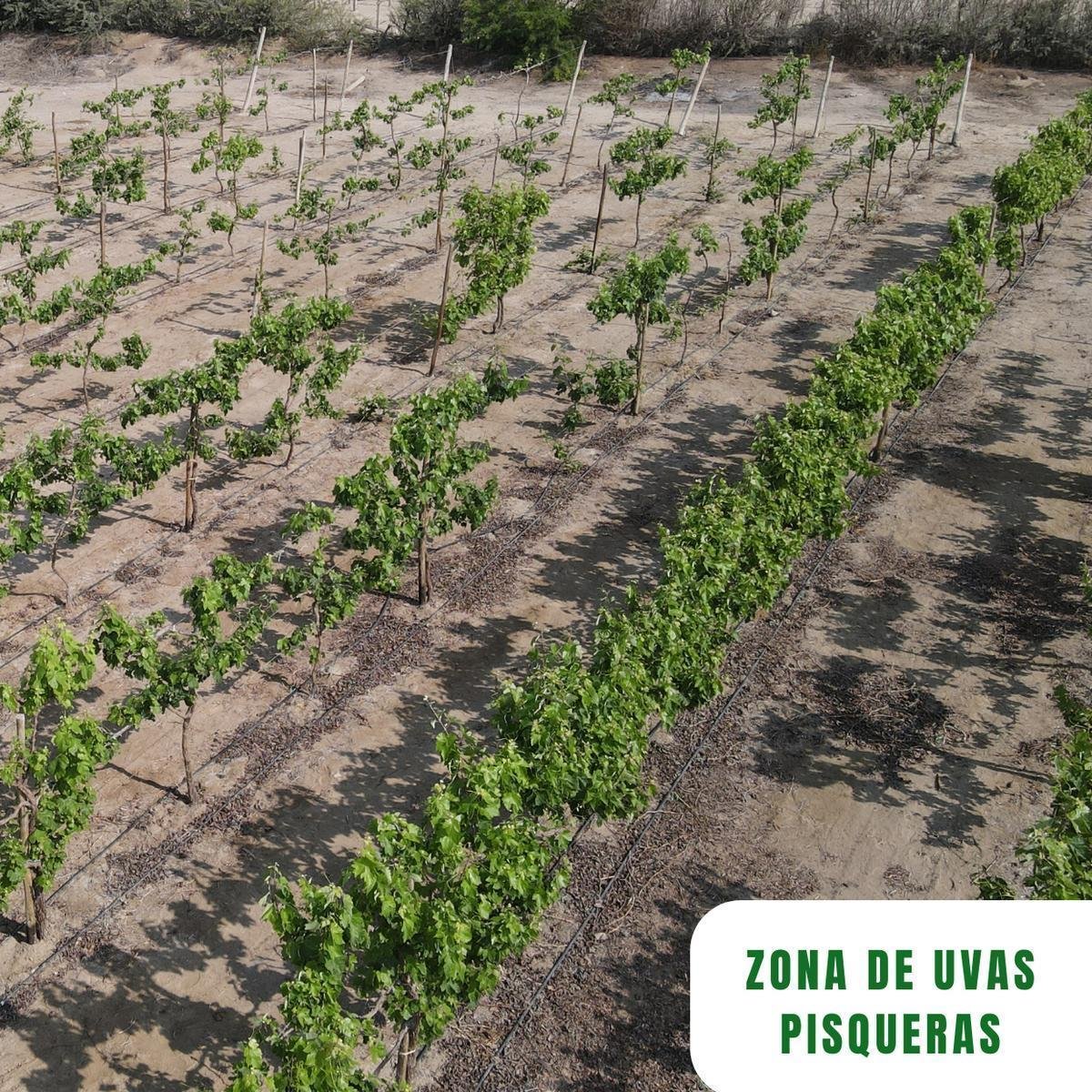 Venta Terreno en Paracas
