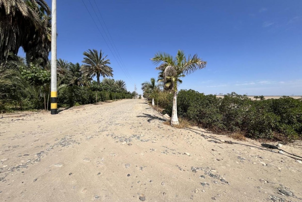 1170