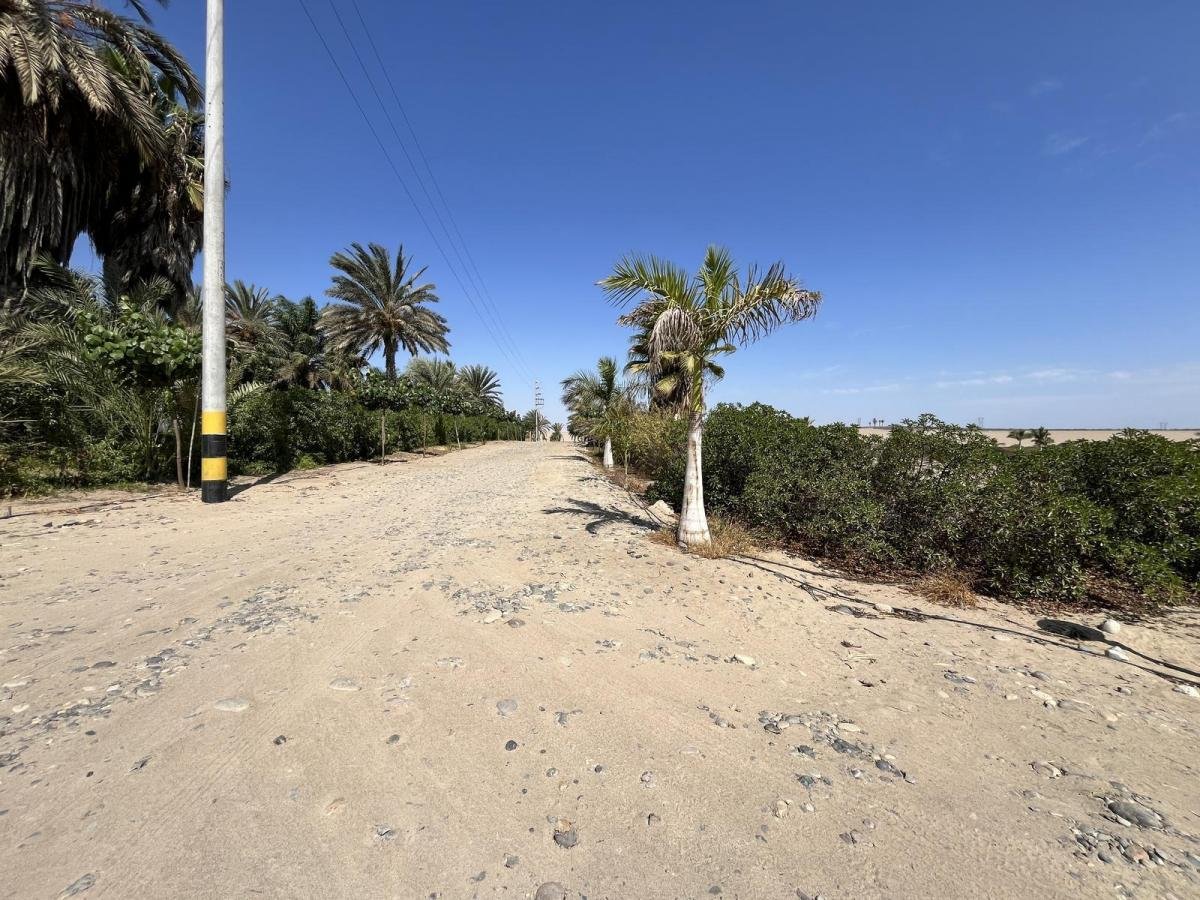 Venta Terreno en Paracas