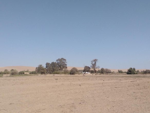 VENTA DE OCASIÓN TERRENO EN SAN ANDRÉS PISCO