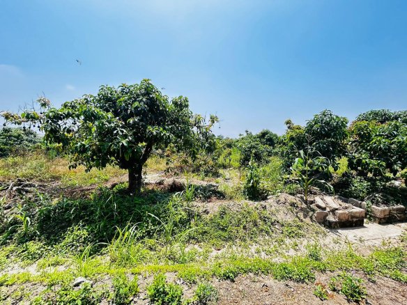 VENTA DE TERRENO EN HUARAL